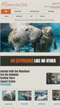 Mobile Screenshot of floridamanateeswims.com