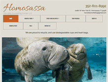 Tablet Screenshot of floridamanateeswims.com